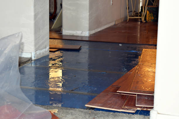 Professional Burst Pipe Cleanup technician working in Buttonwillow, CA